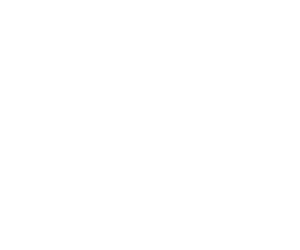 Floor Coverings International Gold Sponsor