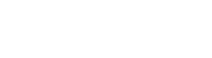 Next Day Access Silver Sponsor
