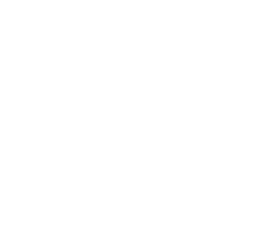 ona-01
