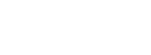 owl-01